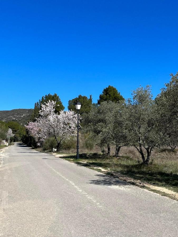 Les Jardins De La Graviere A 5 Mn De Lourmarin Avec Piscine Privee Βίλα Puyvert Εξωτερικό φωτογραφία